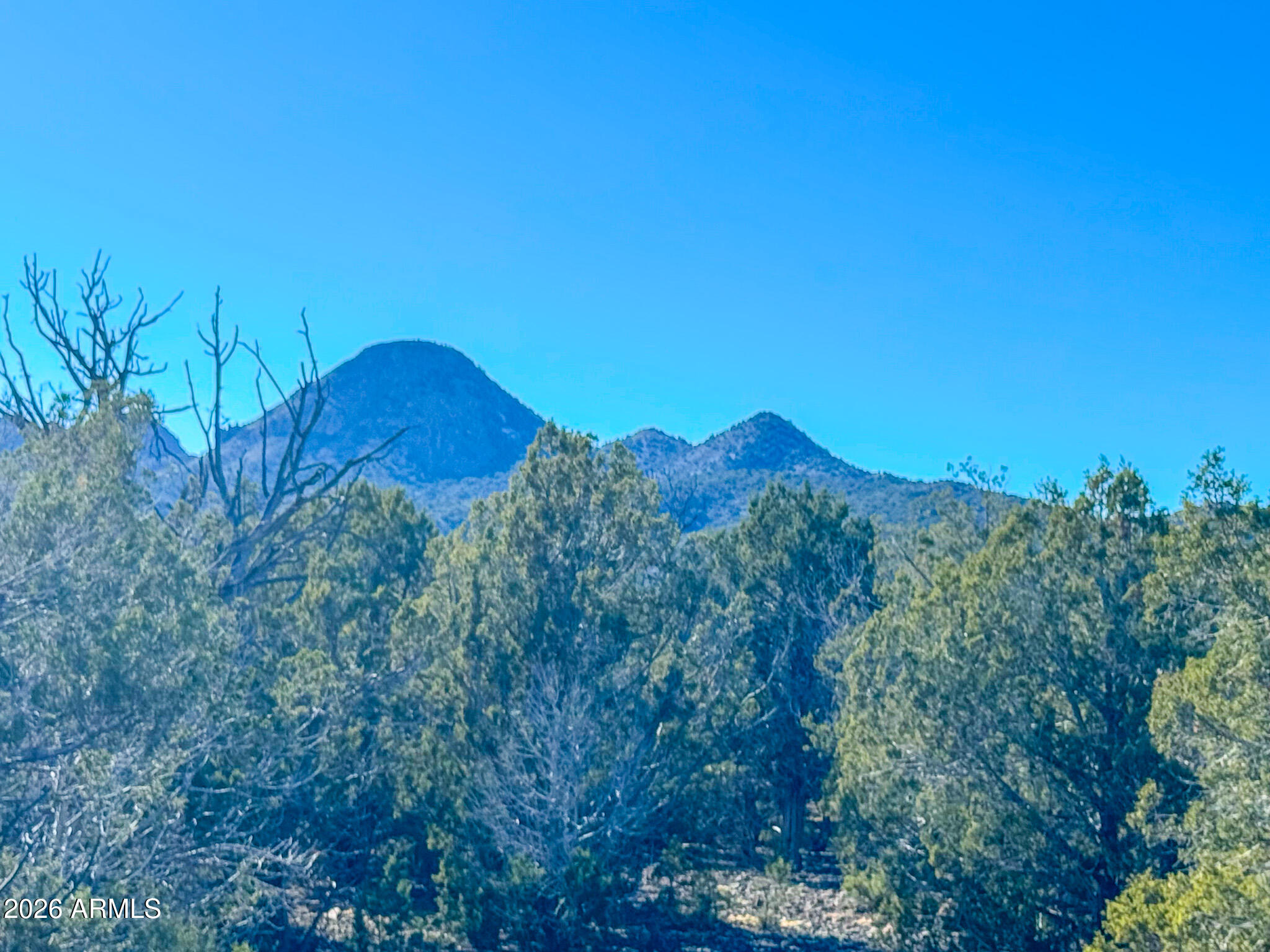 0 RANCH RD 53.79 ACRES -- 121