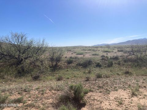 324 N Unmarked Road 324 Willcox AZ 85643