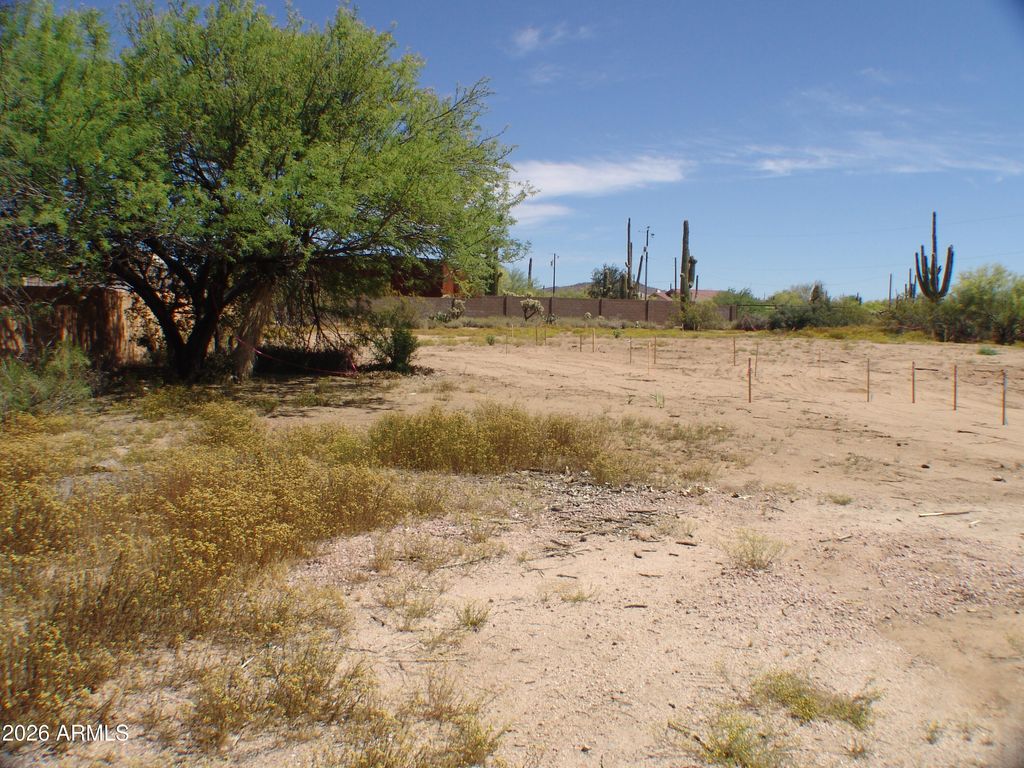 Photo of 31607 N 64th Street, Cave Creek, AZ 85331 (MLS # 7024745)