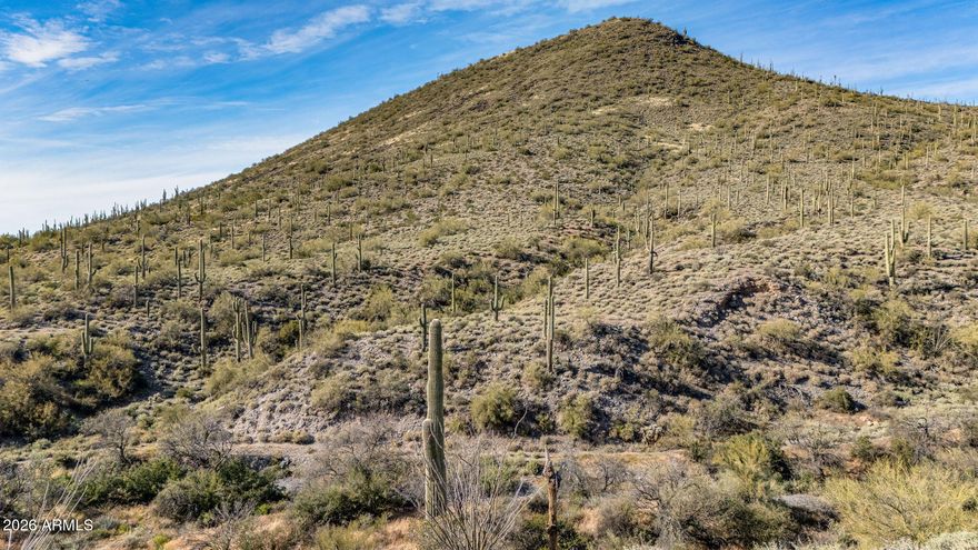 10 acre parcel with mountain views and an excellent location ready for your custom dream home or mini ranch. Unique opportunity to own sizable acreage in Cave Creek. Private, but close to the Town of Cave Creek entertainment. Sizeable level locations to build. Cave Creek DR-190 Zoning - Horses allowed, with restrictions including up to 10 horses.  Disabled 300' well near the center of the property.