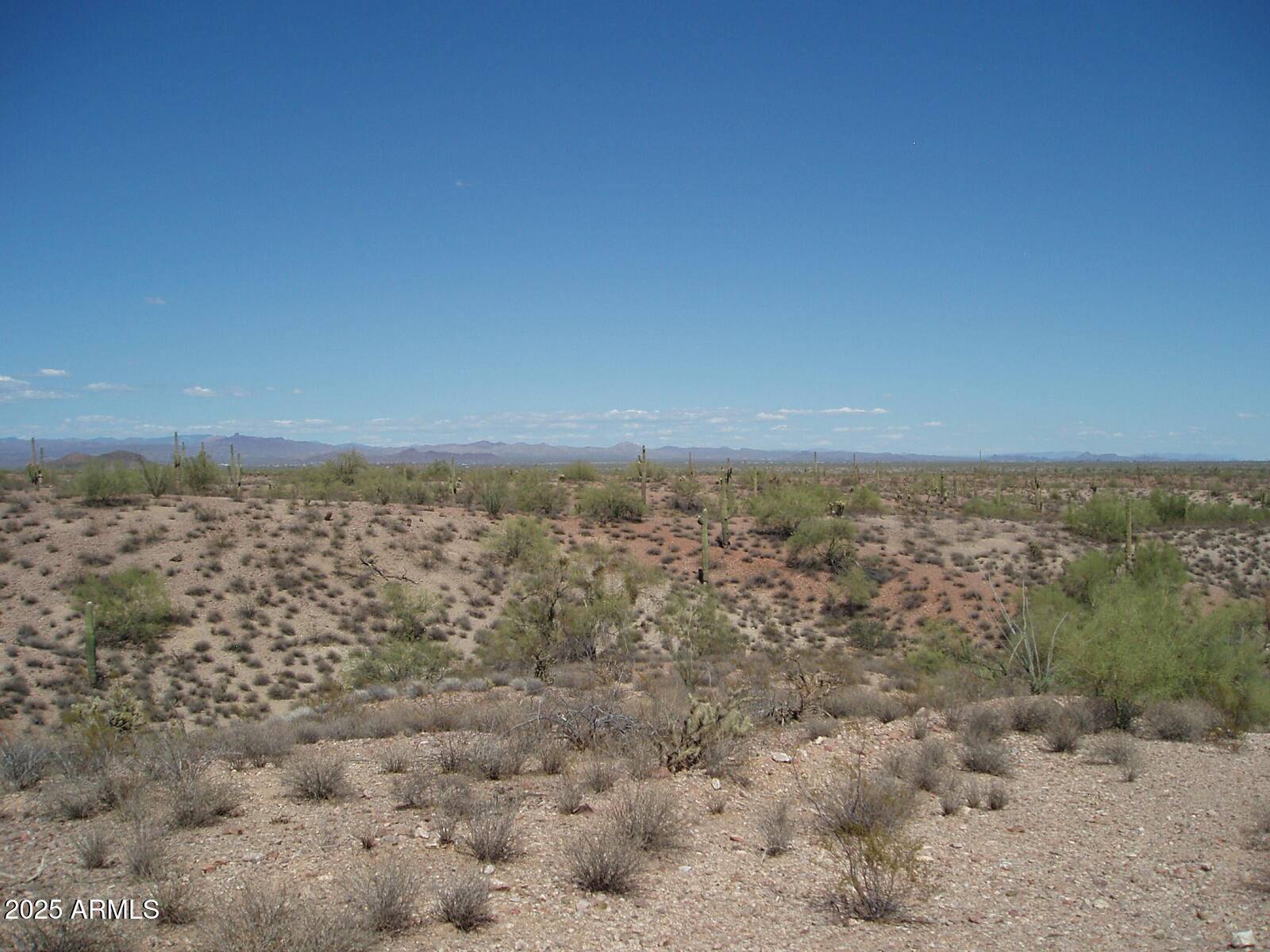 29299 W Villa Cassandra Way -