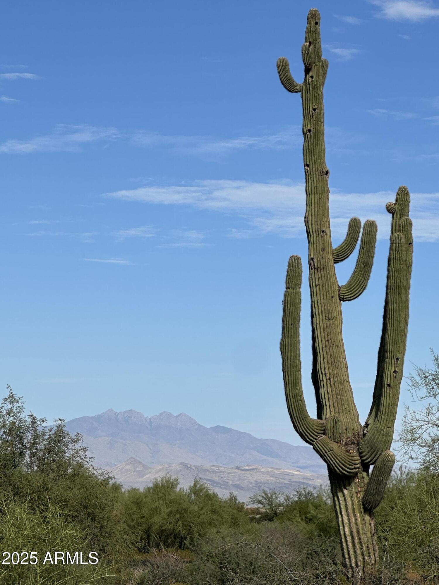 31120 N VISADO Court 92