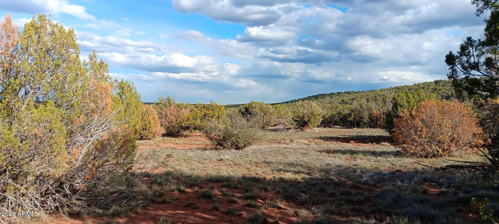 IDLEWILD RANCH - Land