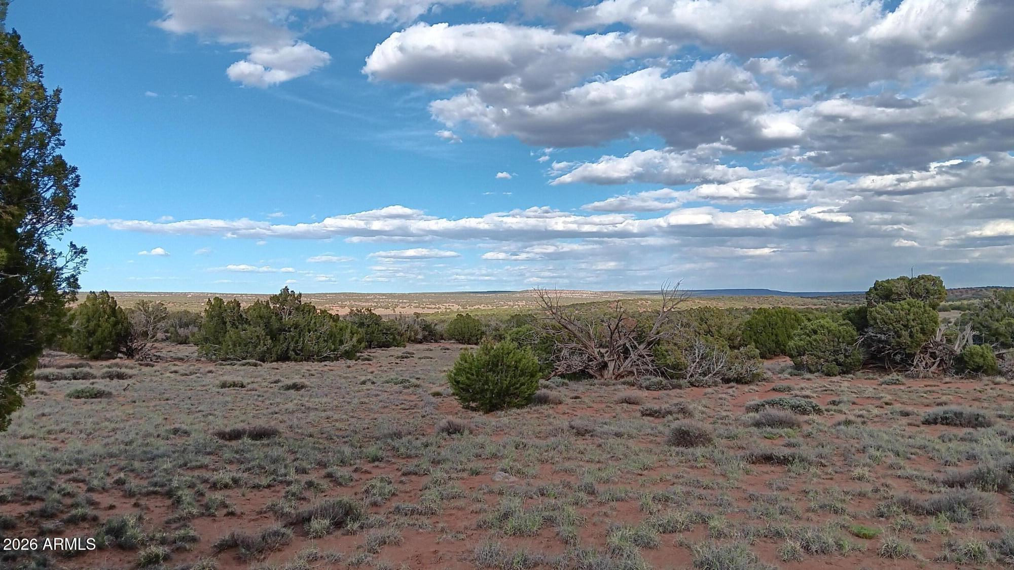 IDLEWILD RANCH - Land