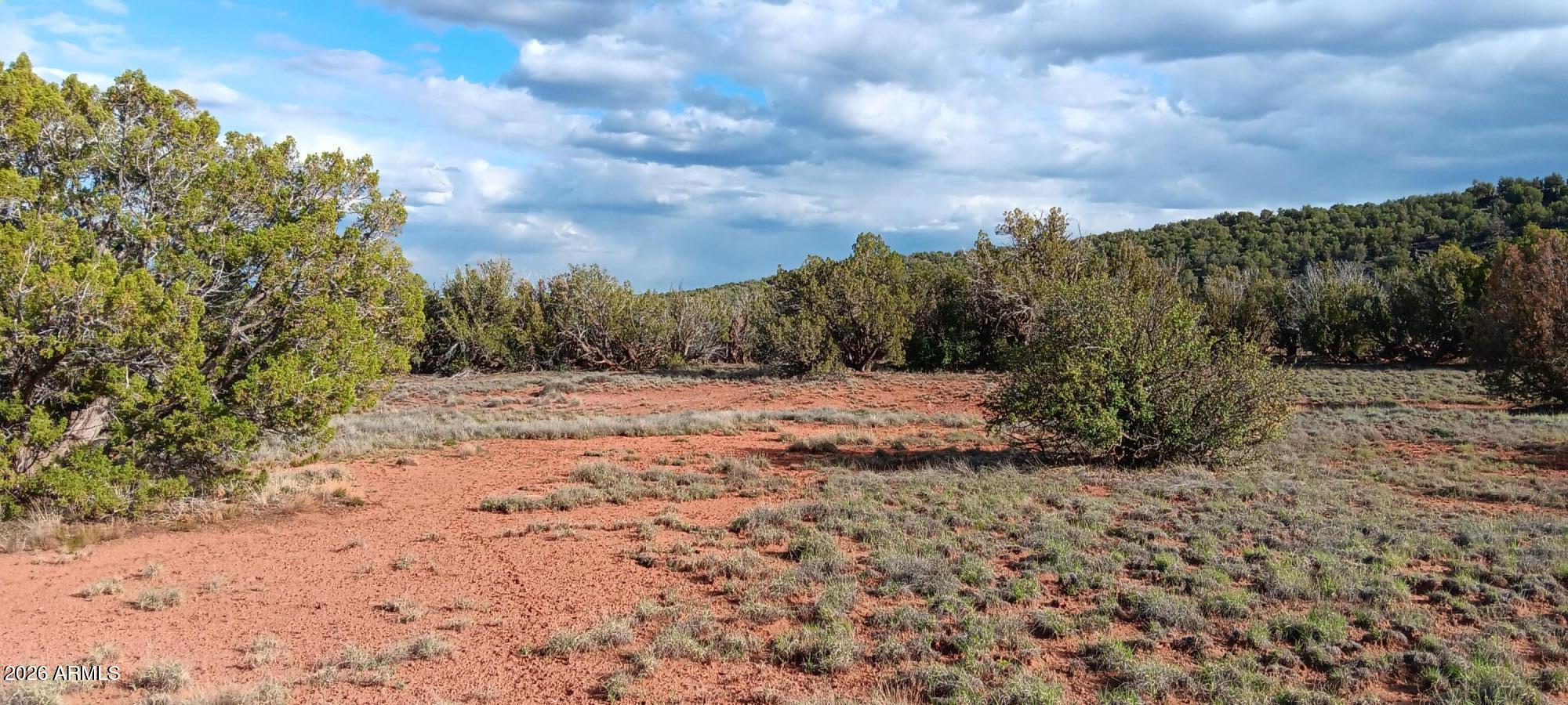 IDLEWILD RANCH - Land