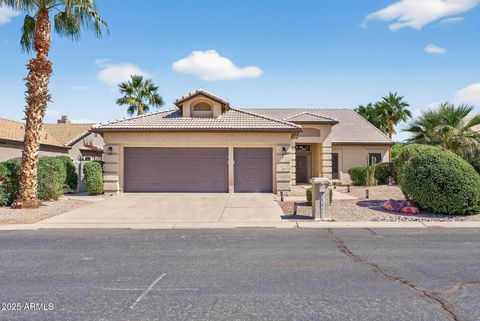 25031 S DESERT TRAIL Court Sun Lakes AZ 85248