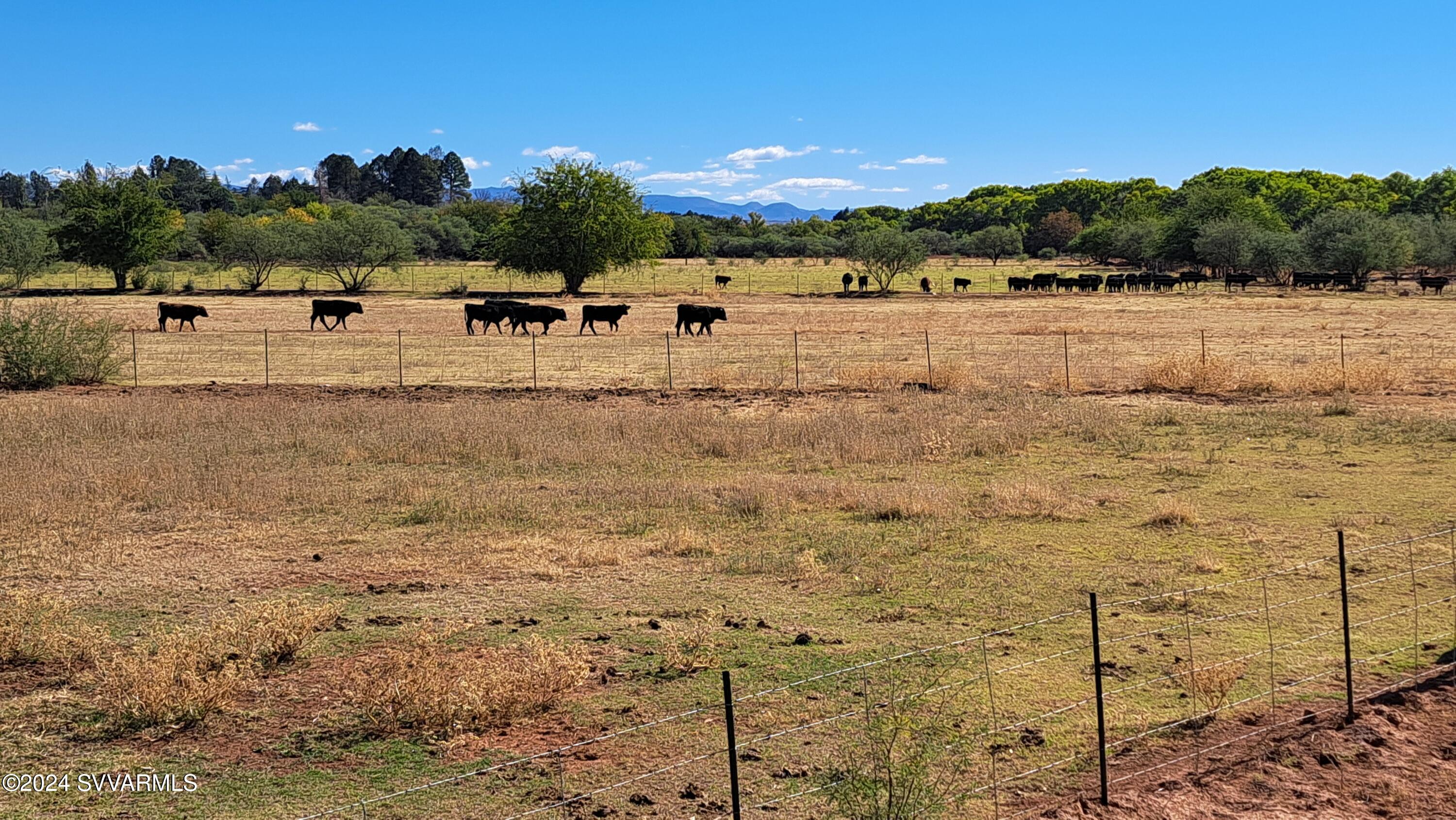 5 Acres or More - Land