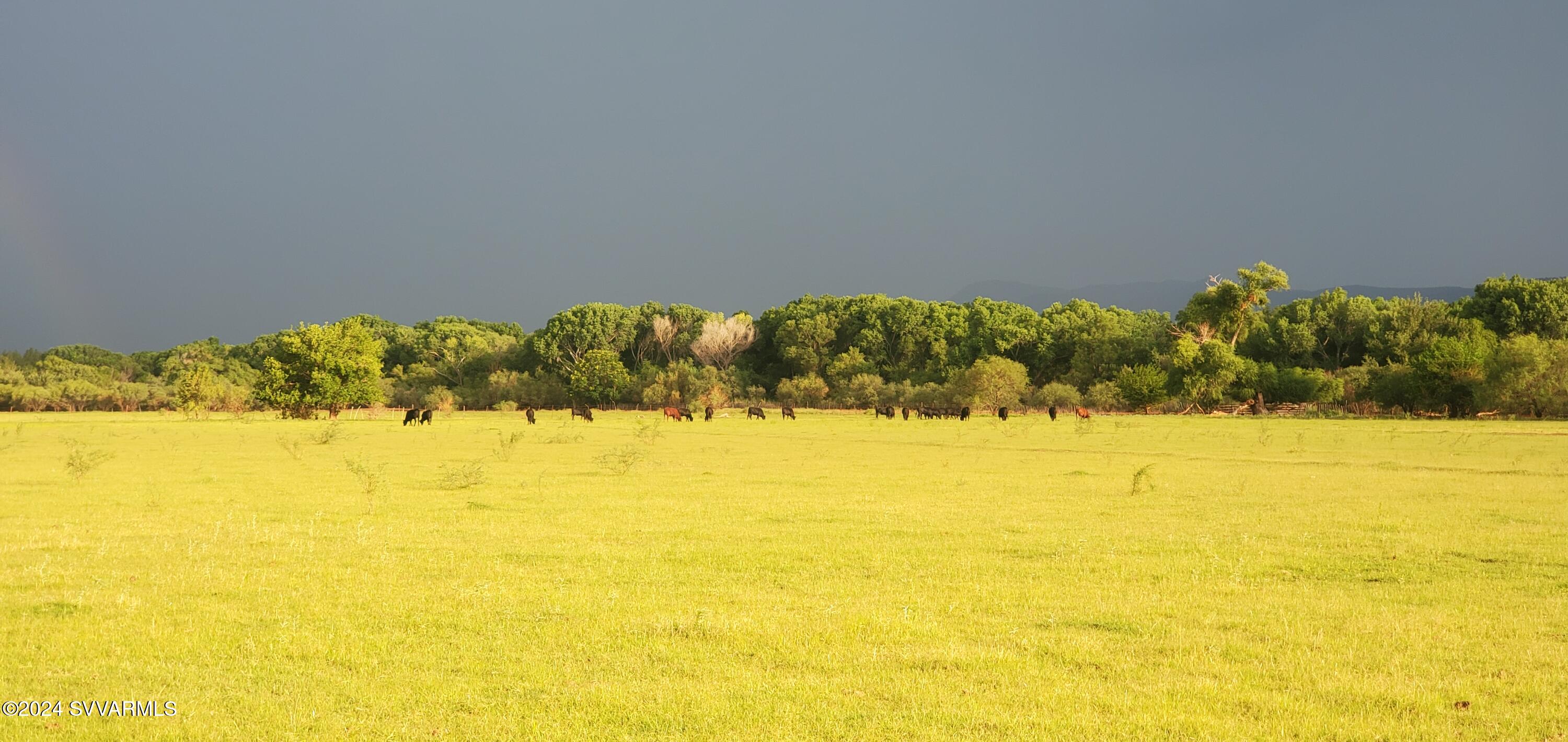 5 Acres or More - Land