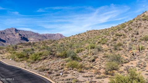 10831 E COPA DEL ORO Lane 32 Gold Canyon AZ 85118