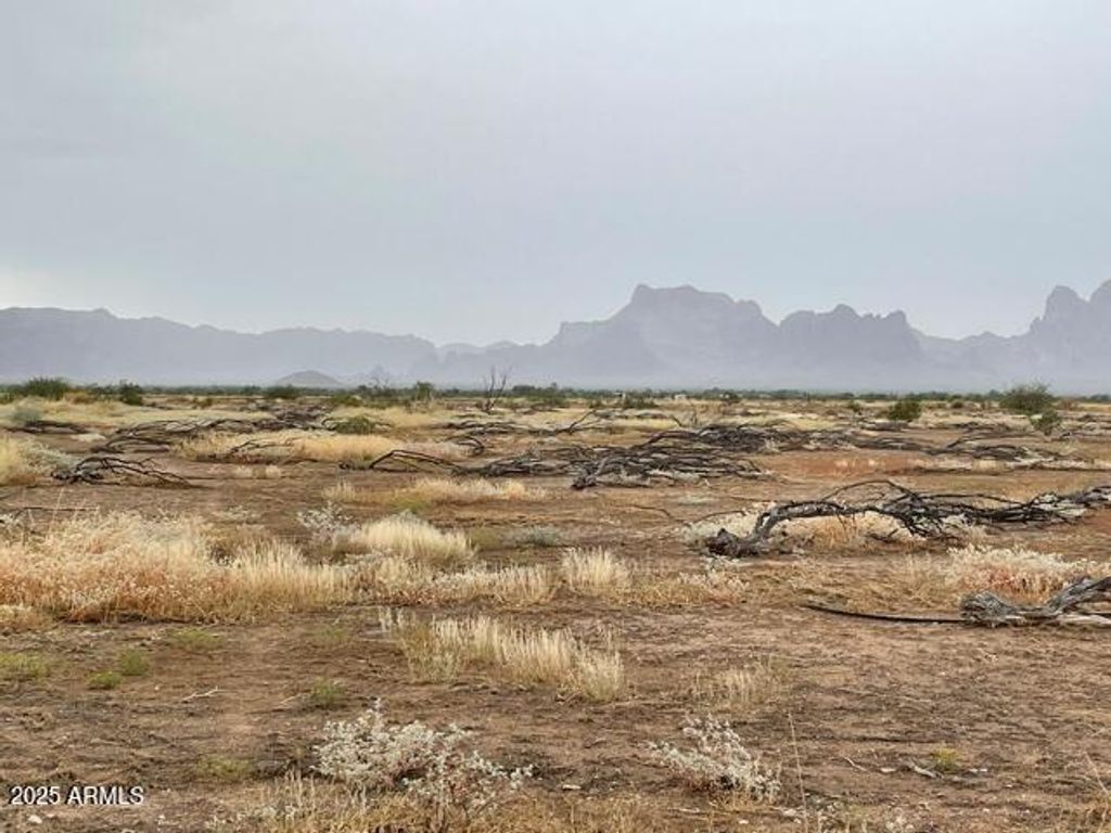 Photo of 0 S 536th Avenue #202, Tonopah, AZ 85354 (MLS # 6904962)