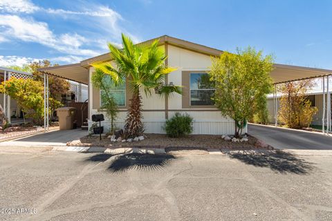 10401 N CAVE CREEK Road 78 Phoenix AZ 85020