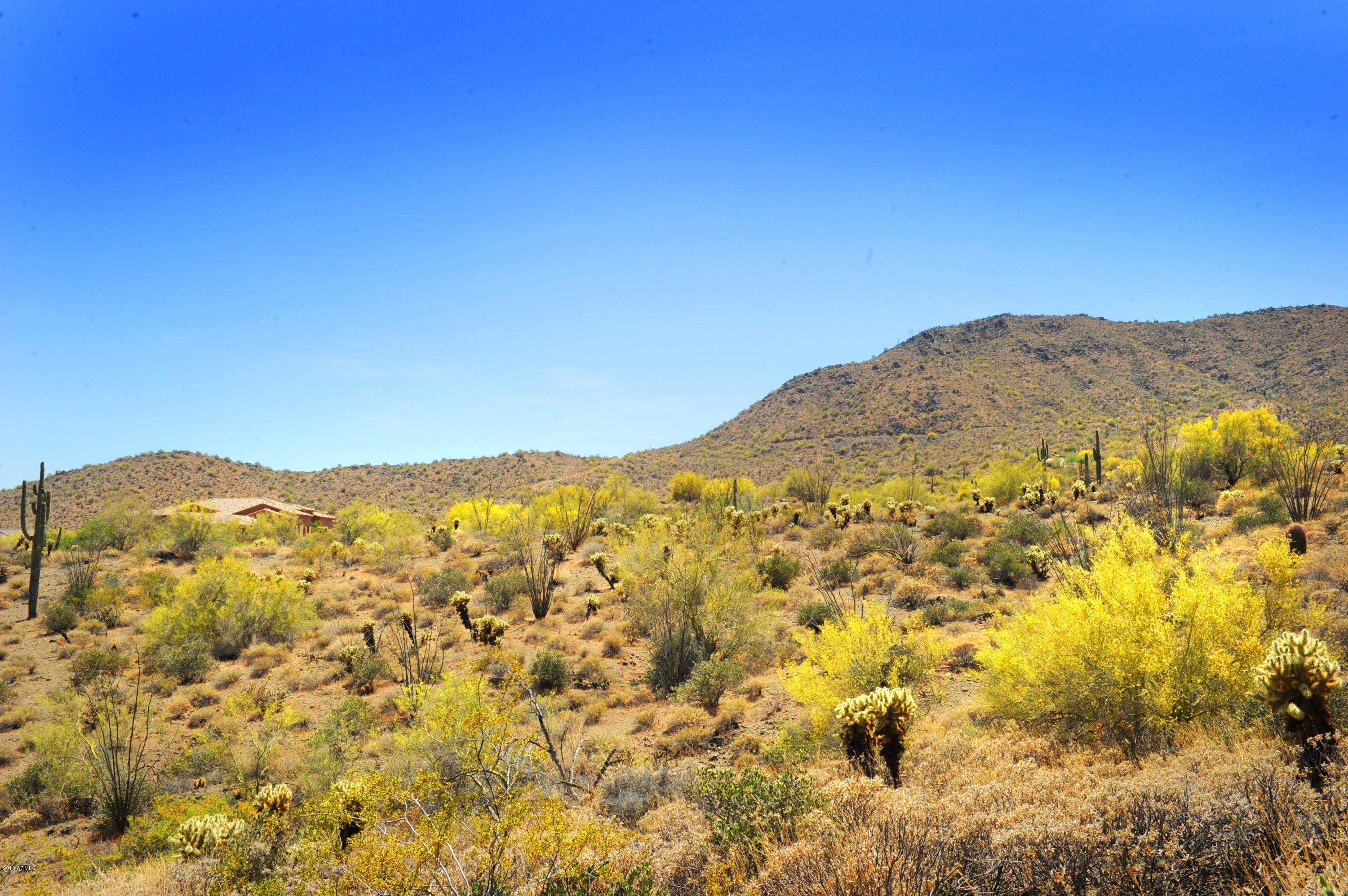 14317 E MOURNING DOVE Drive 86