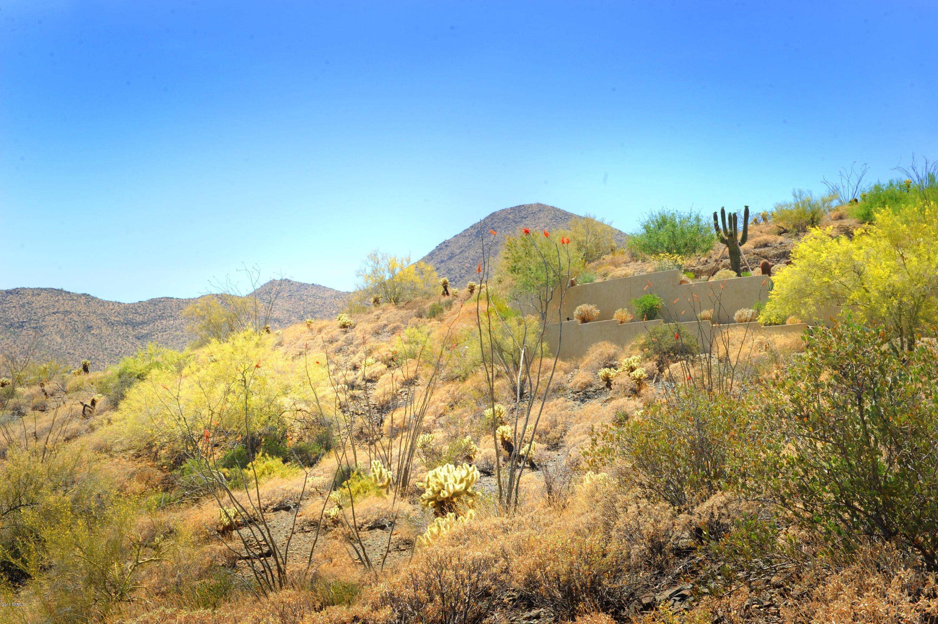 14317 E MOURNING DOVE Drive 86