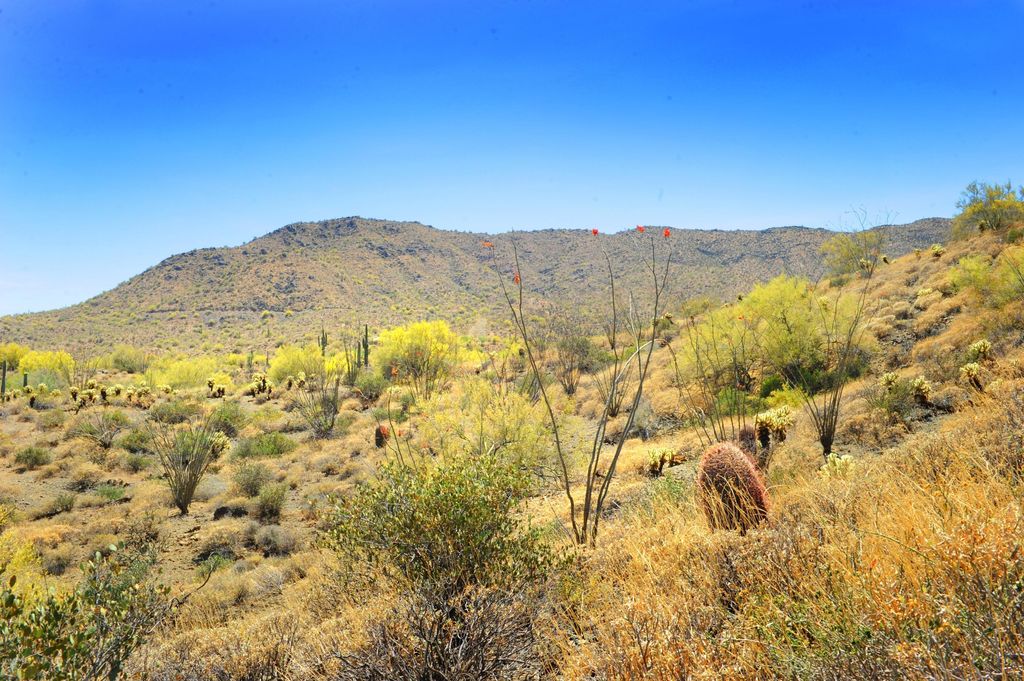 Photo of 14317 E Mourning Dove Drive #86, Fountain Hills, AZ 85268 (MLS # 6794185)