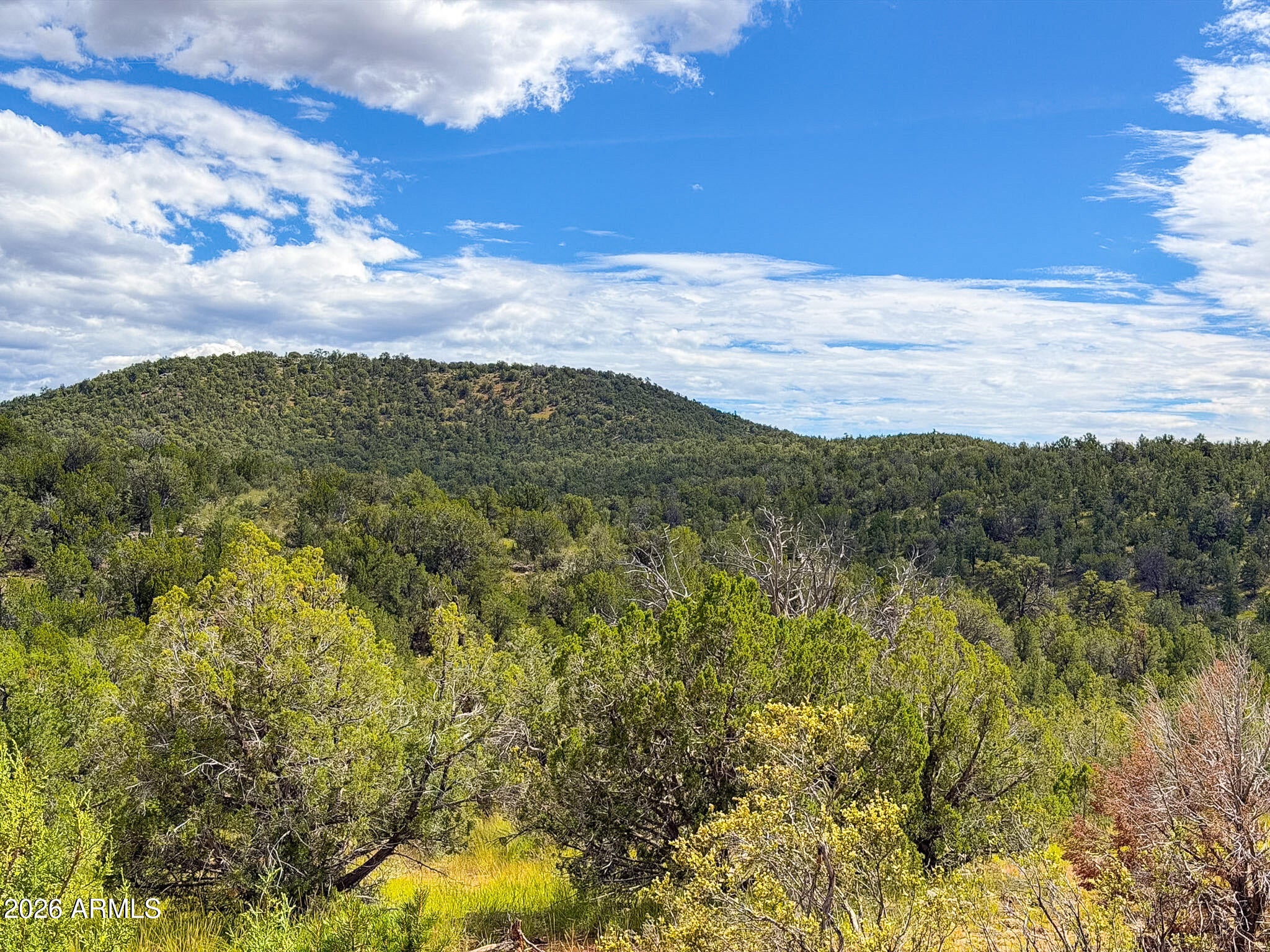 0 W Elkhorn Pass 36 Acres -- -