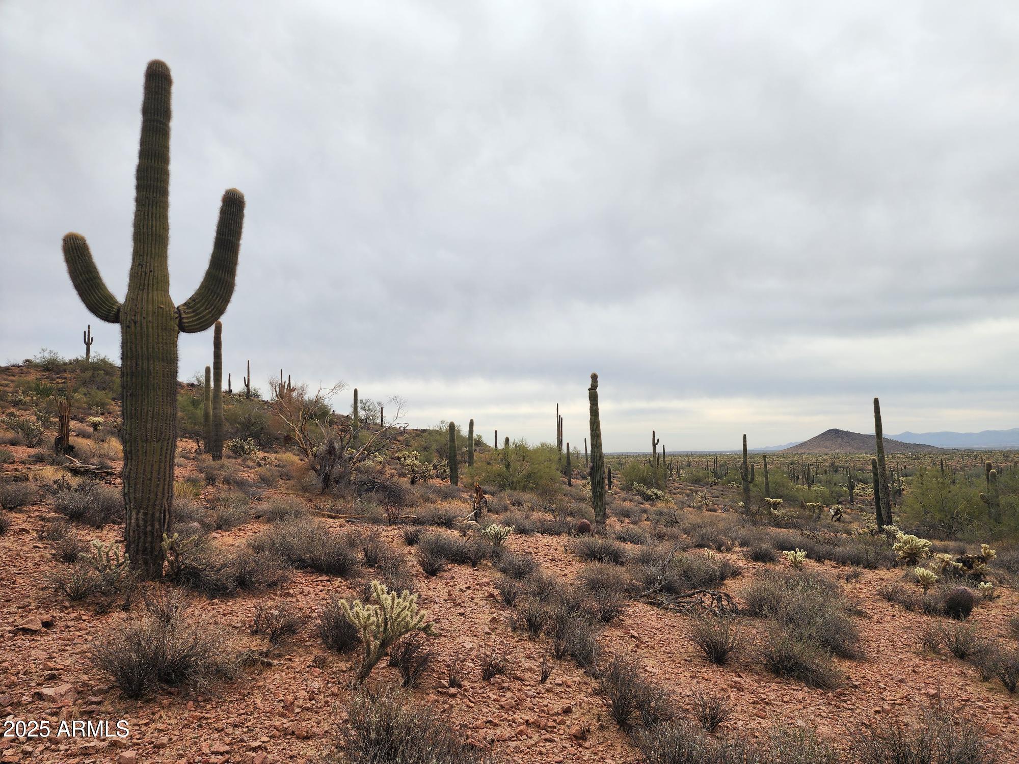 000 W Black Mountain Road 94