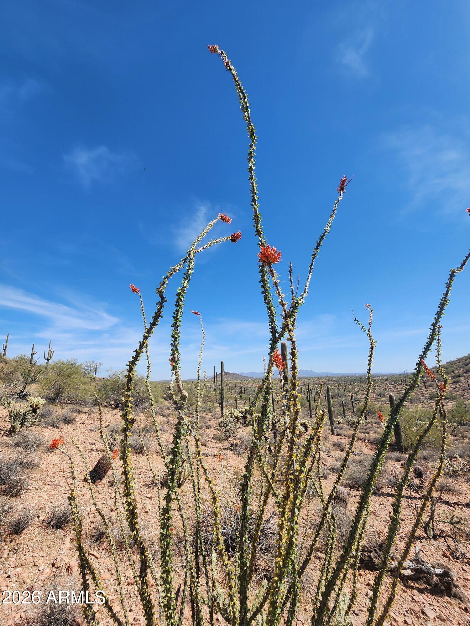 000 W Black Mountain Road 94