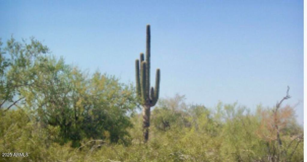 Photo of 0 W Az-84 #32, Maricopa, AZ 85139 (MLS # 6911020)