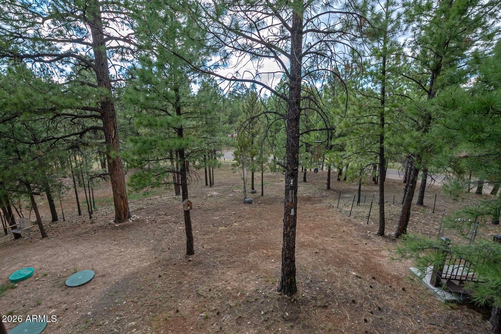 Photo of 3139 W Hopi Drive, Happy Jack, AZ 86024 (MLS # 7074193)