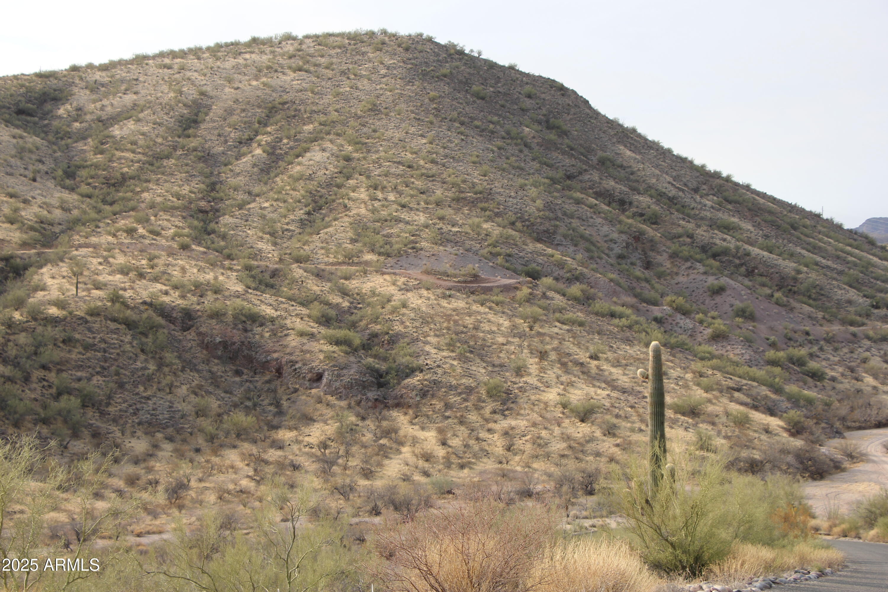 15 S Mountain Side Loop S 15