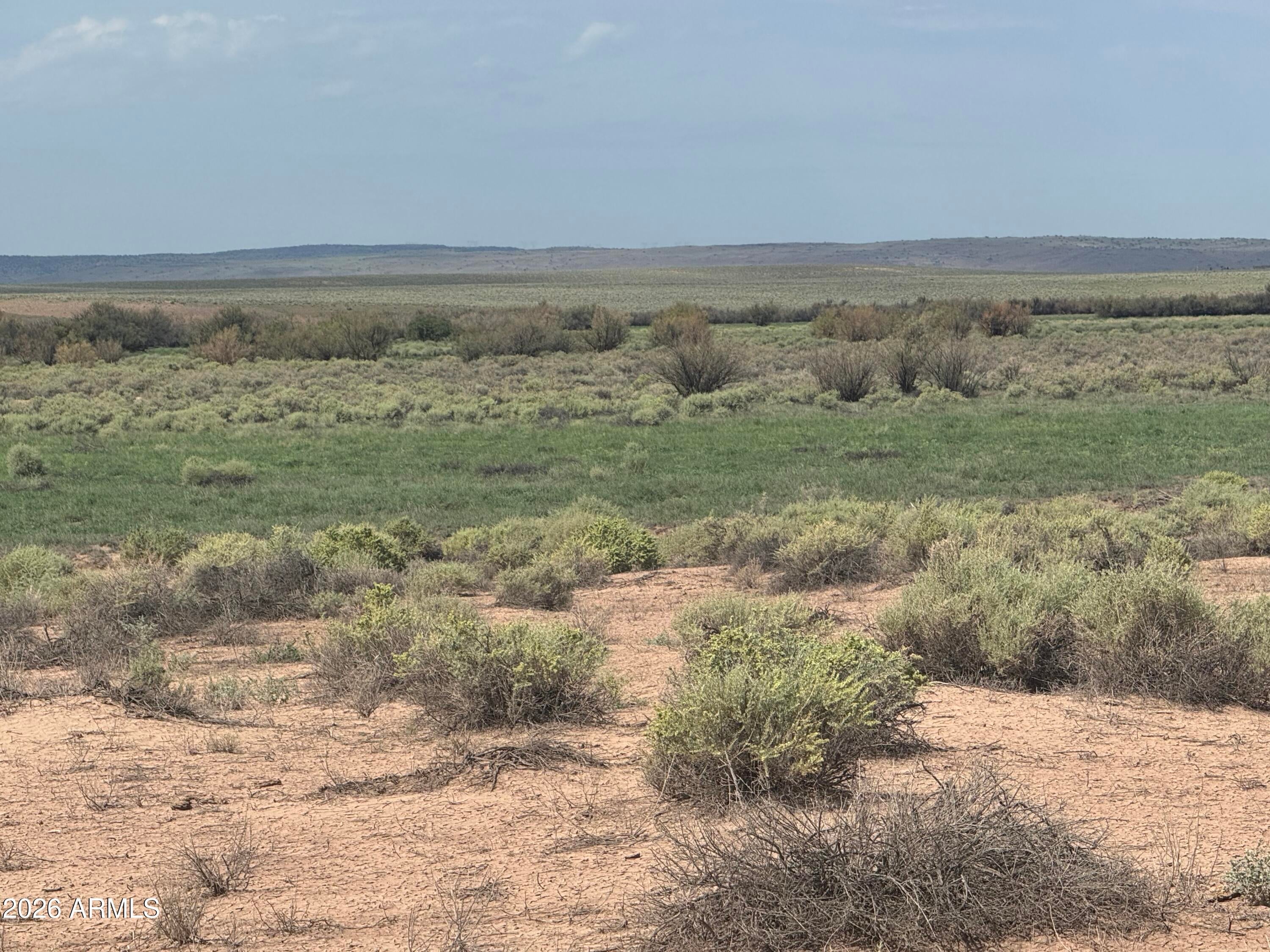 Lot 445 Carrizo Ranch -- 445