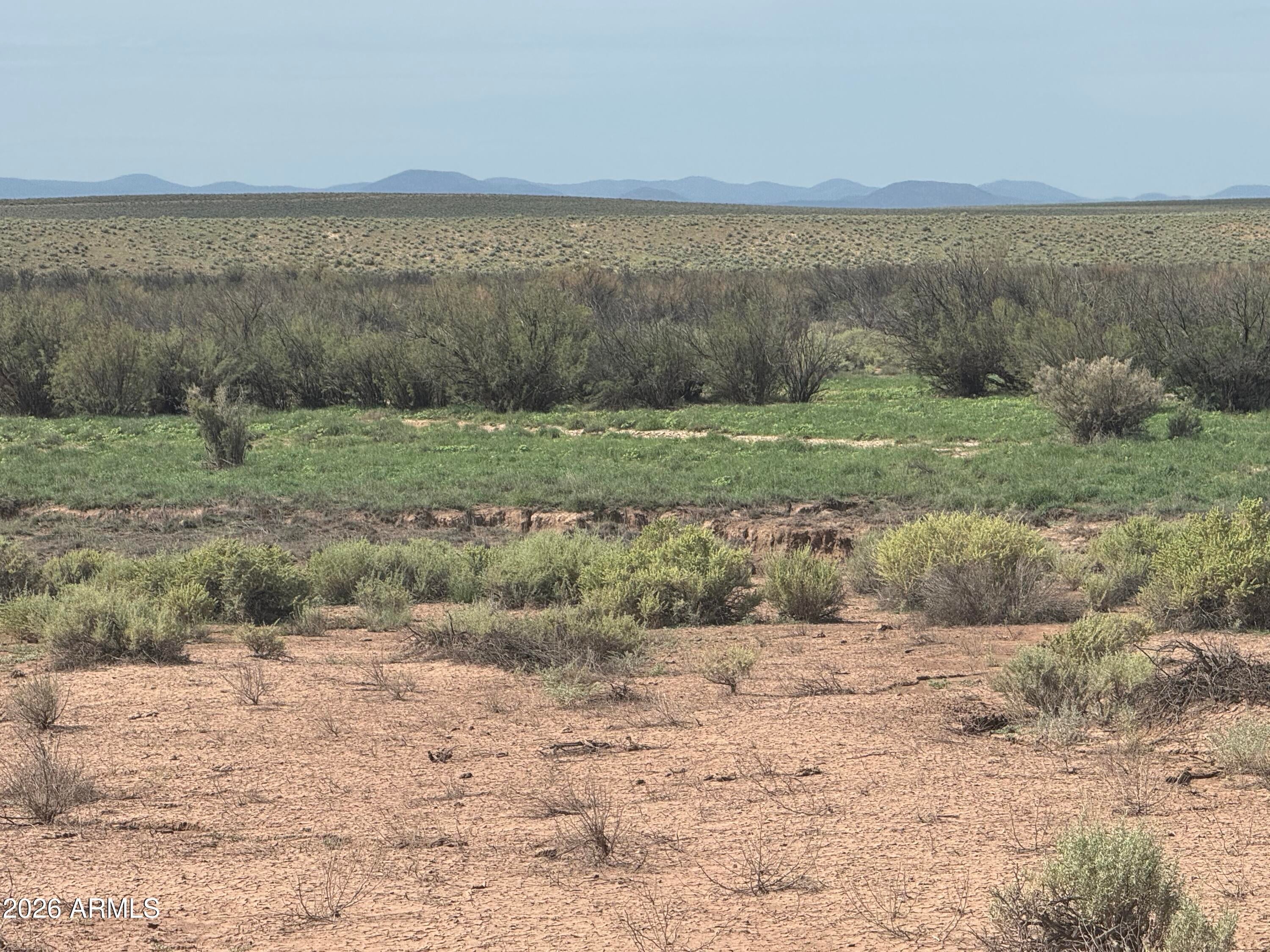 Lot 445 Carrizo Ranch -- 445