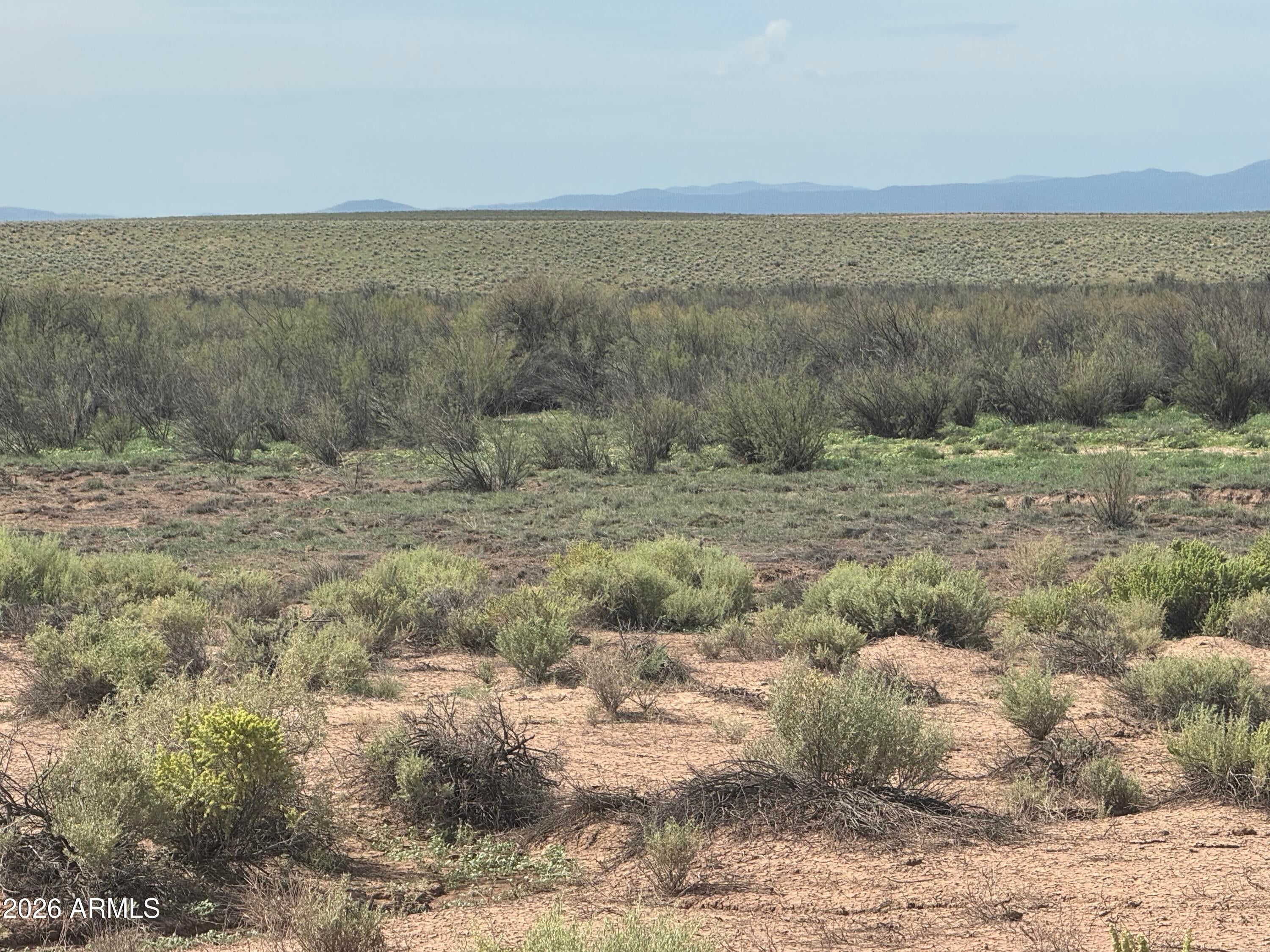 Lot 445 Carrizo Ranch -- 445