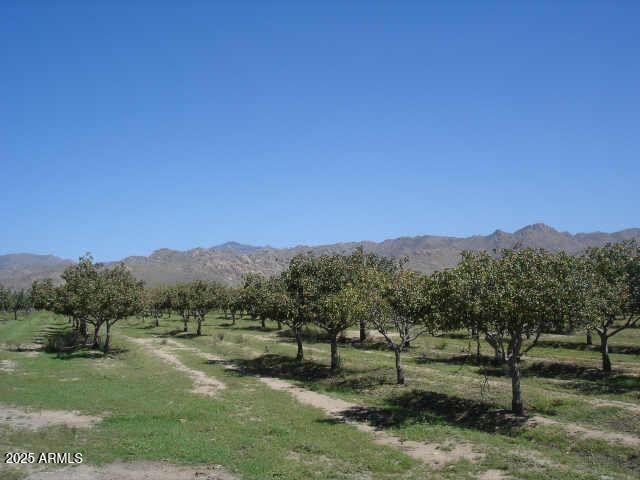 Homes for Sale in Queen Creek Arizona 4 8 NW HIGHWAY 62 (DATE CREEK) Road NW A