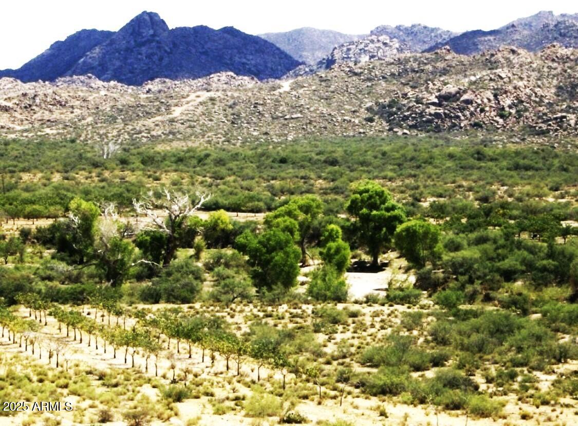 Homes for Sale in Queen Creek Arizona 2 8 NW HIGHWAY 62 (DATE CREEK) Road NW A