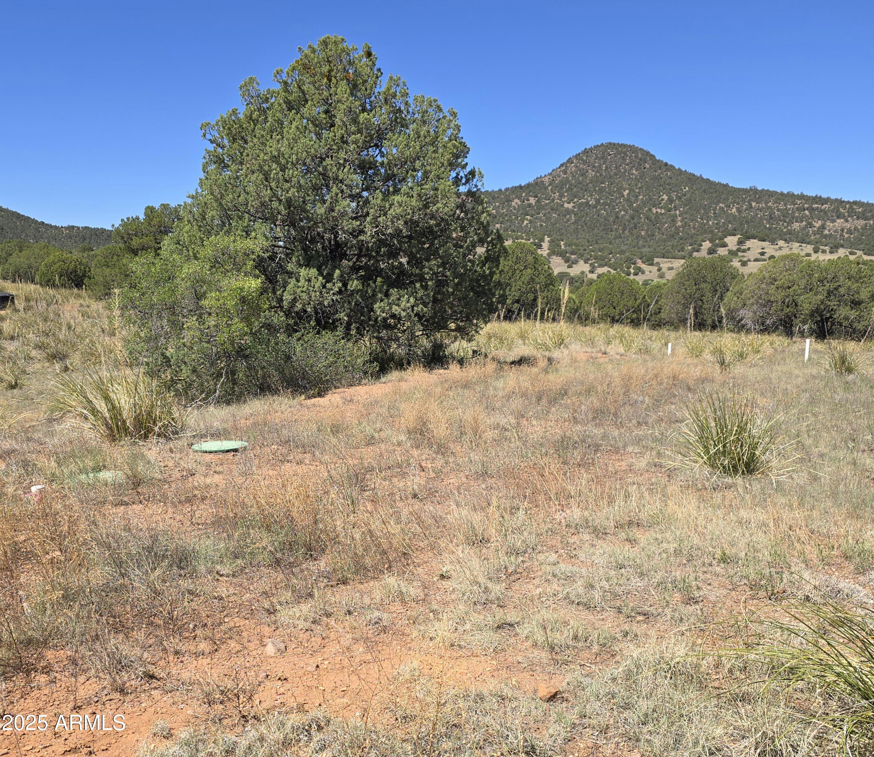 410 S ROLLING HILL Road 1&2