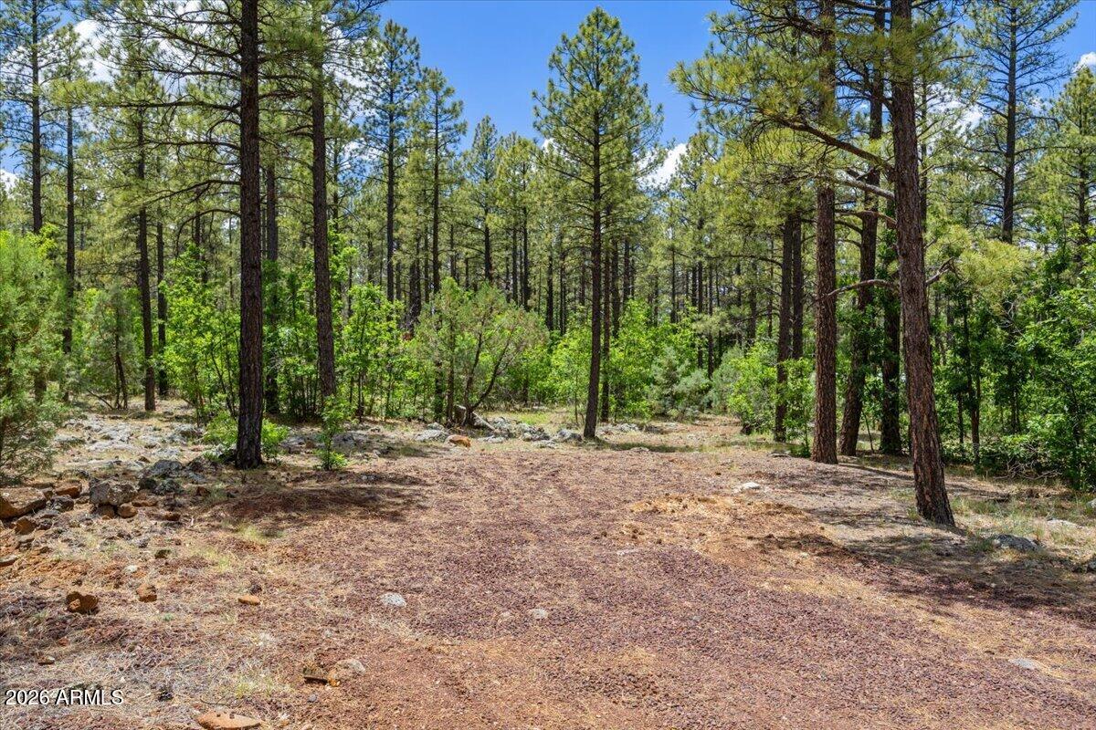 TBD E Sawmill Drive -