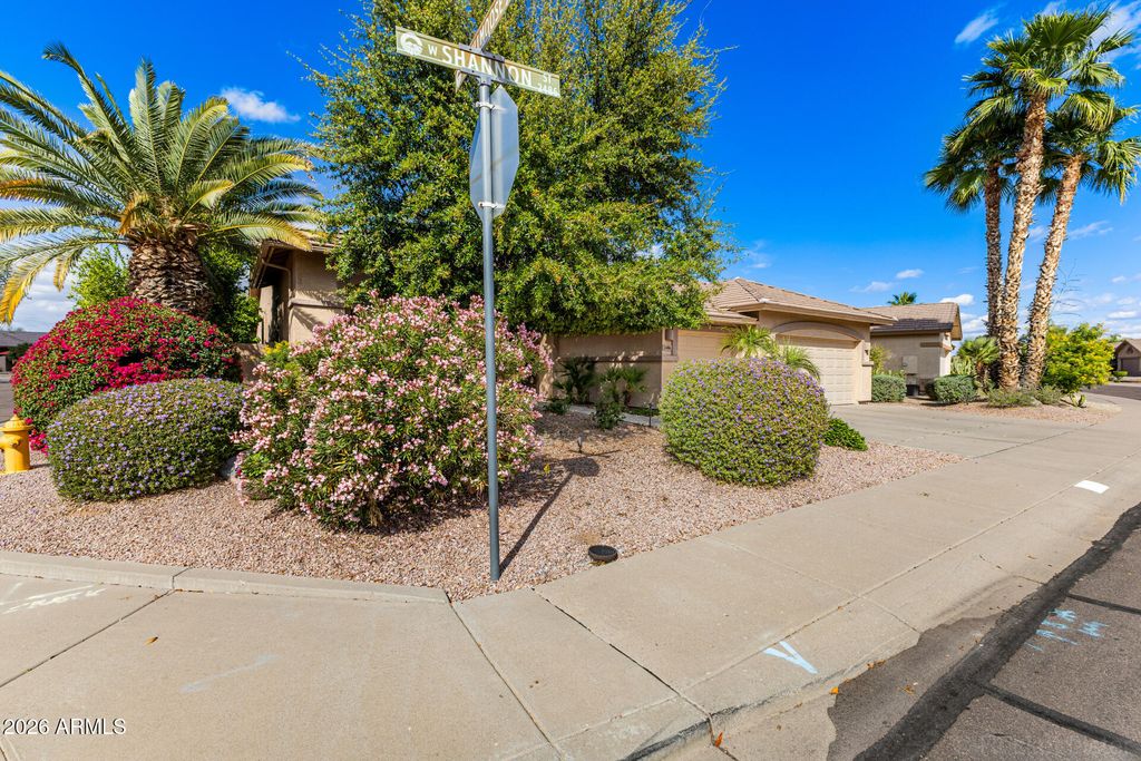 Photo of 2486 W Shannon Street, Chandler, AZ 85224 (MLS # 6996619)