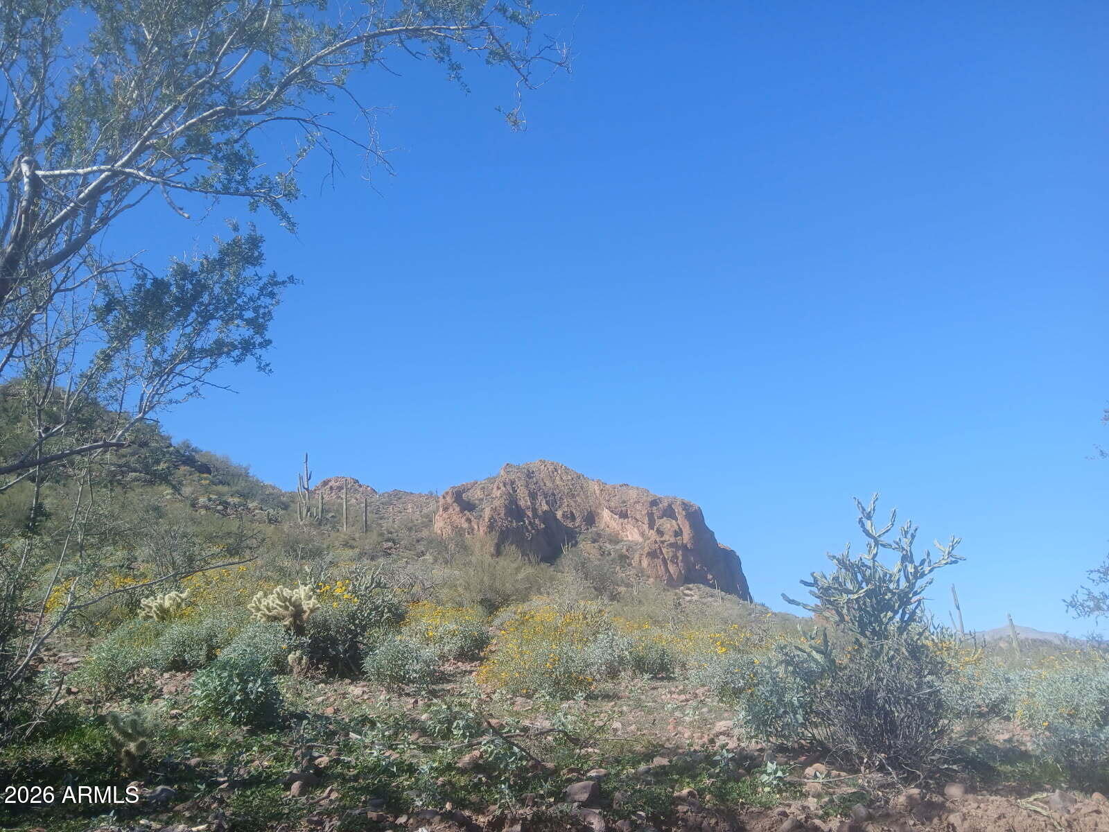 PLEASANT COUNTRY RANCHES - Land