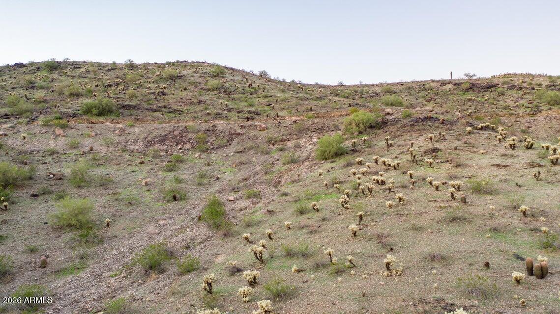 1726 E DESERT WILLOW Drive 7