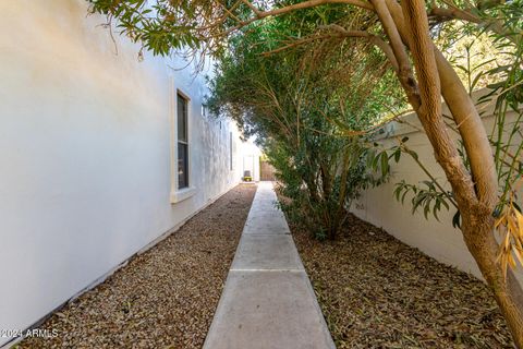 A home in Chandler