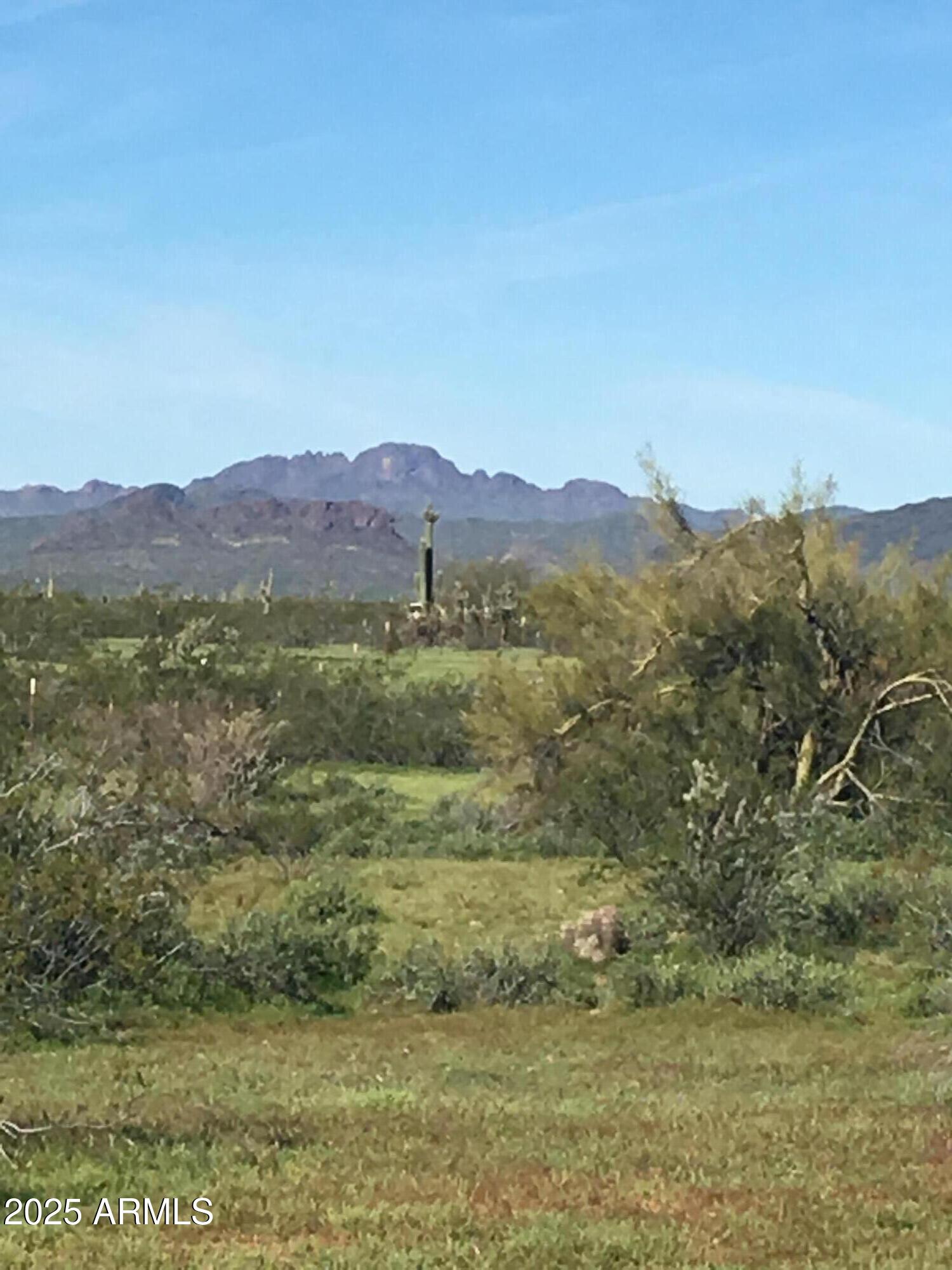 417XX N 252ND Avenue -