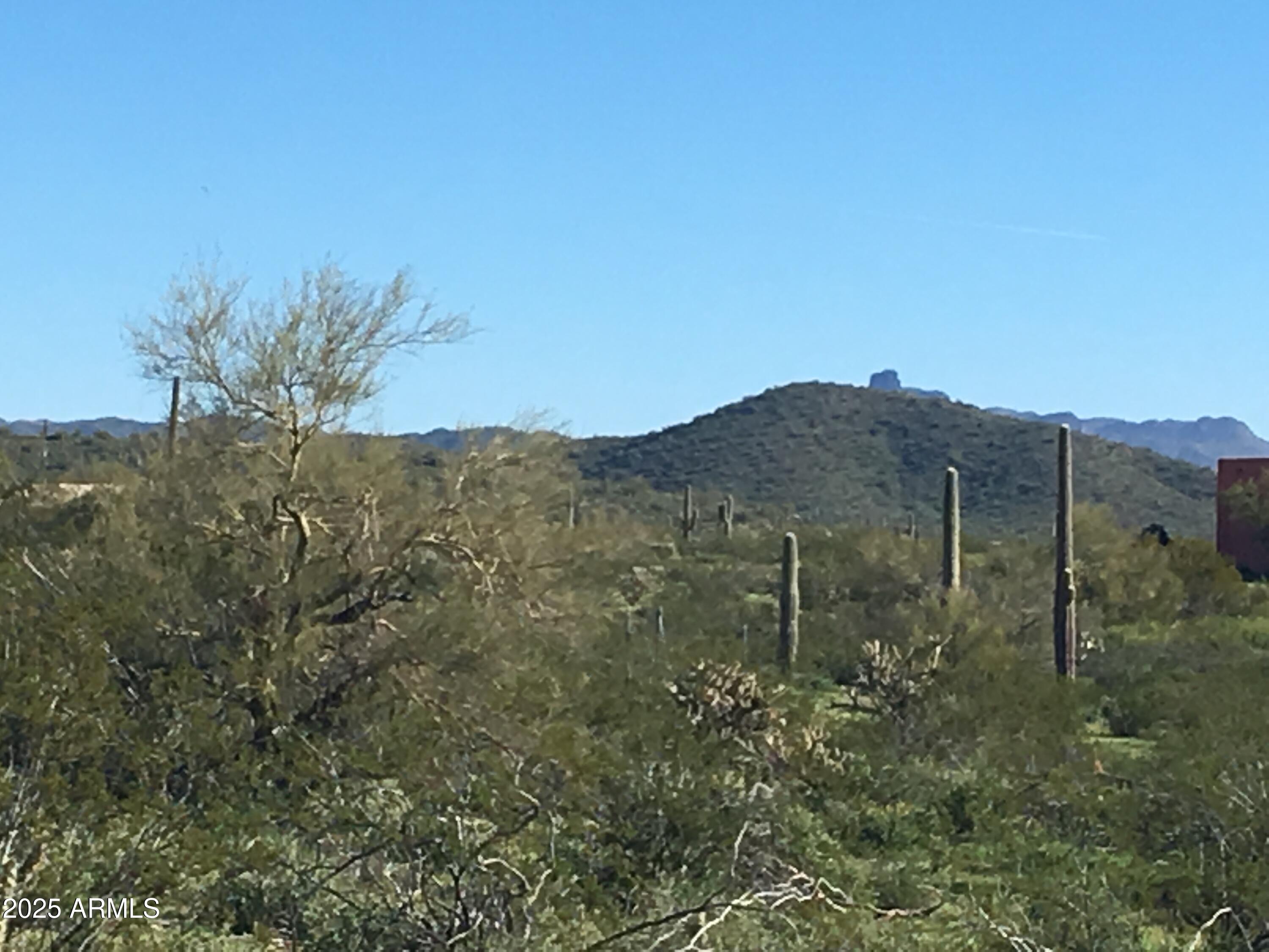 417XX N 252ND Avenue -