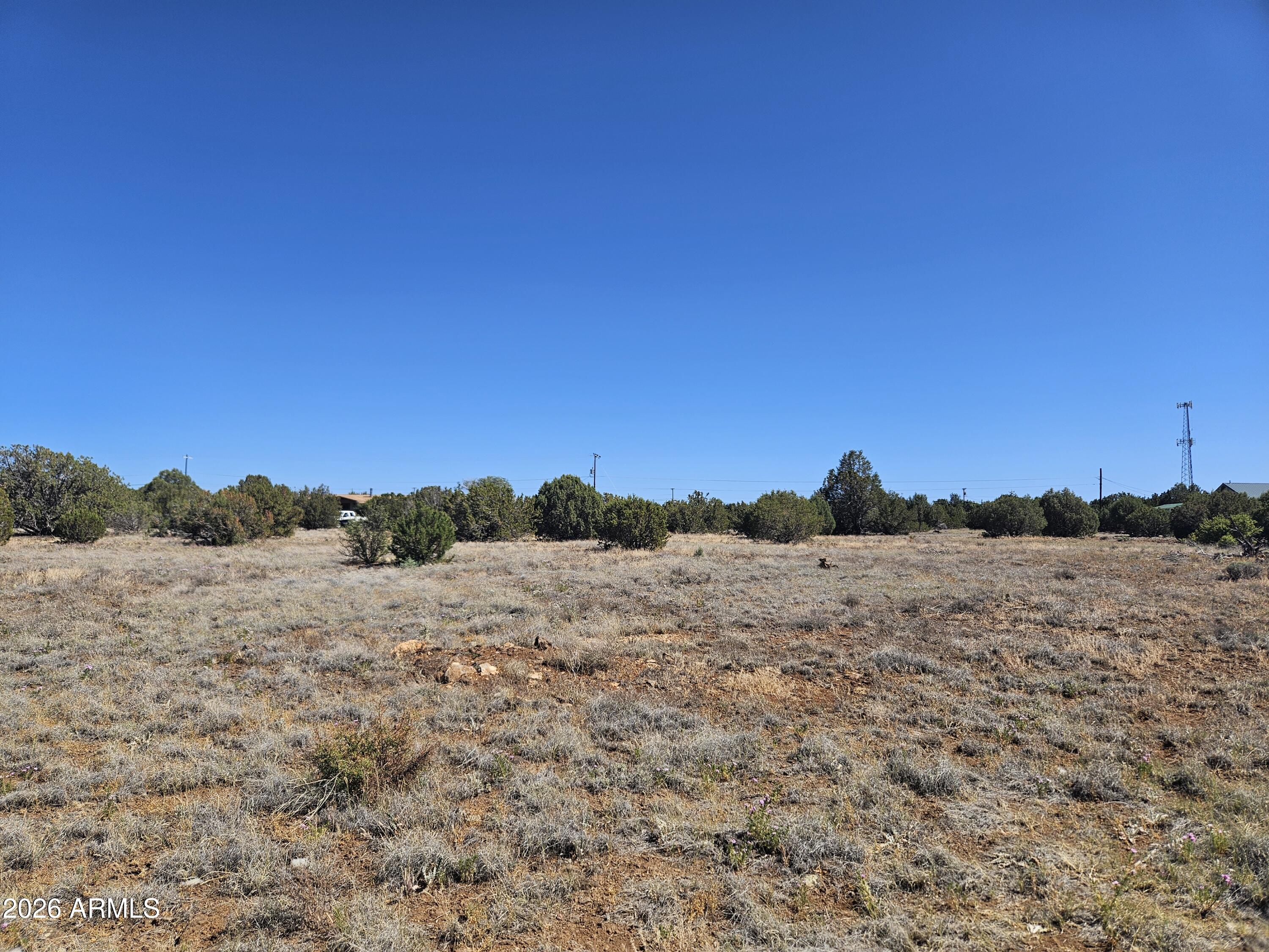 WHITE MOUNTAIN LAKE ESTATES - Land