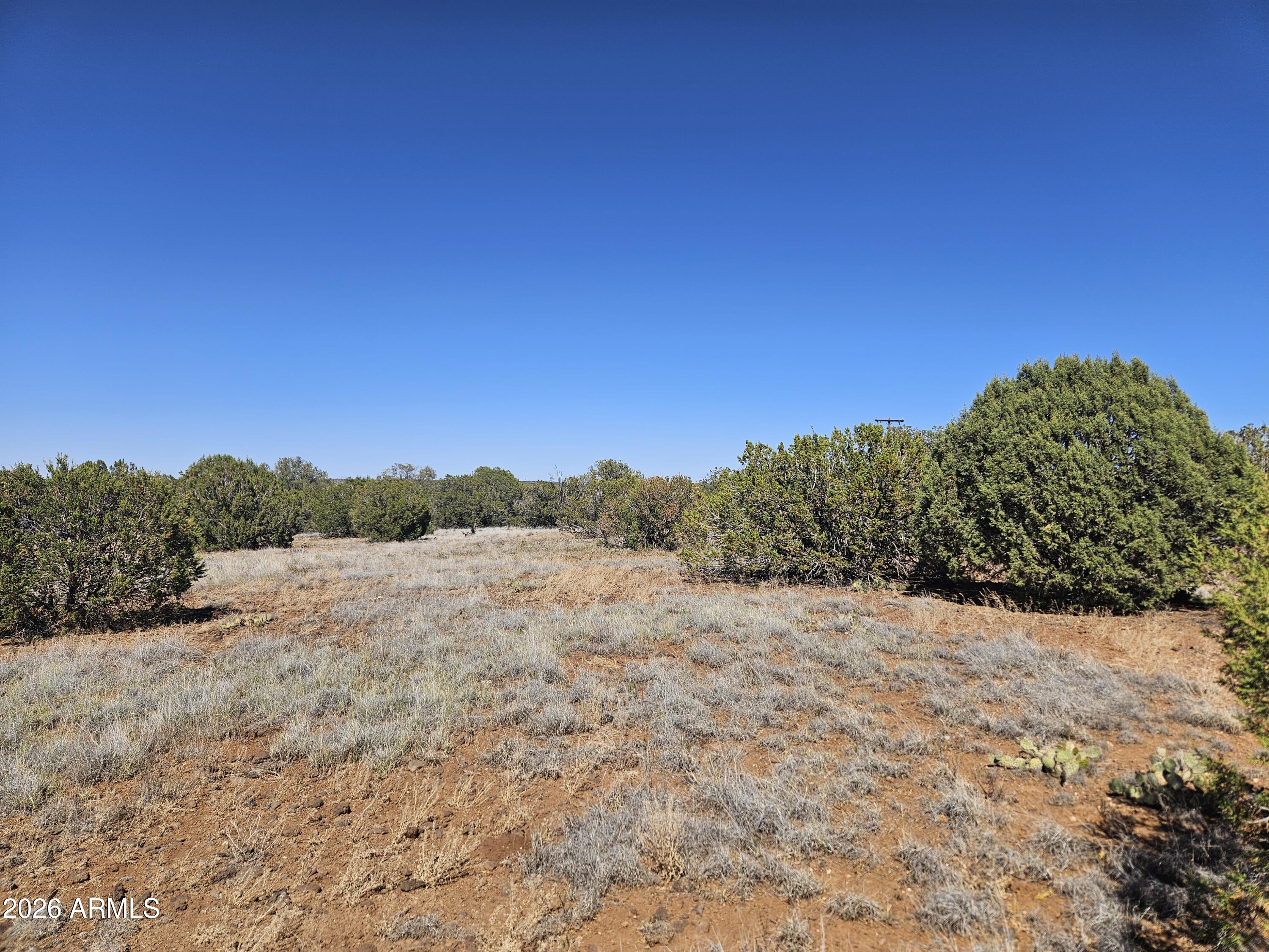 8423 NAVAJO Drive -