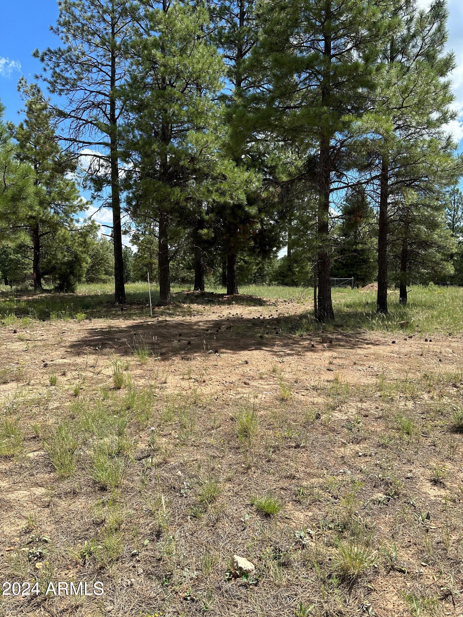 2476 S Pinyon Jay Drive 23