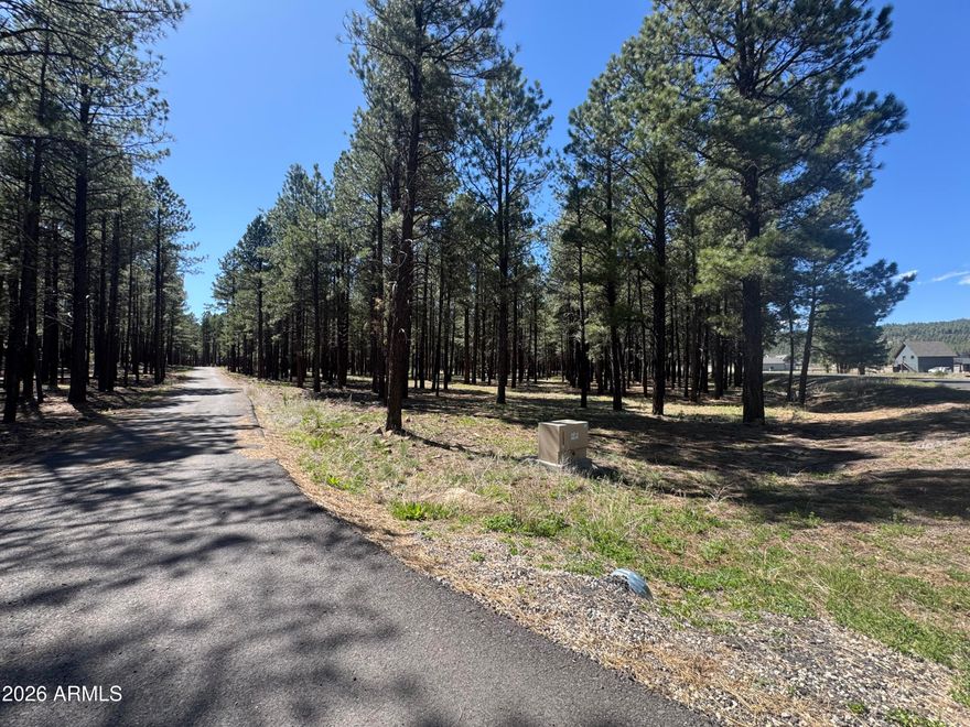 Impressive San Francisco Peak views to the North from the front of this gorgeous 2-acre level topography irregular rectangular parcel, with medium density mature Ponderosa Pine trees and pocket meadows. This parcel is backing undeveloped residential acreage to the West. This parcel has 261' paved radiused road frontage, secondary paved access from Vista Peak Way on the southern boundary. WATER from a deep well aquifer, ELECTRIC and NATURAL GAS to the property. Perfect homesite location for your full time or vacation residence. Experience the best Northern Arizona has to offer.