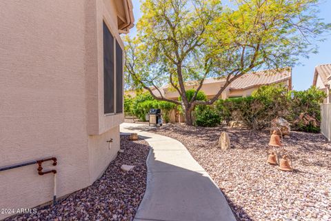 A home in Gold Canyon