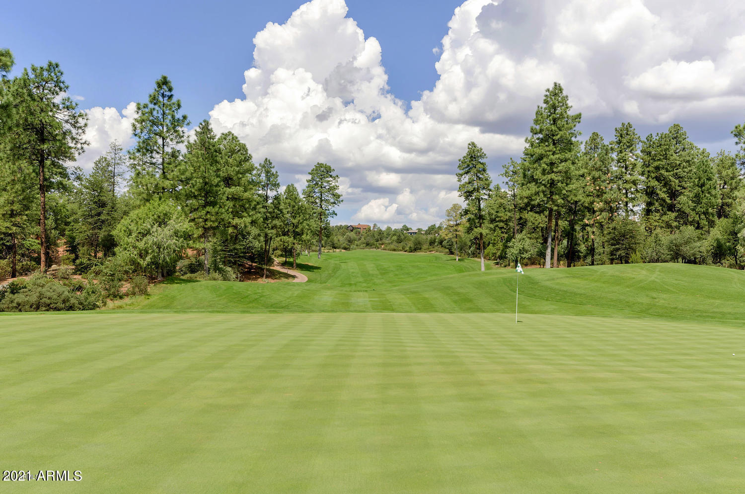 CHAPARRAL PINES PHASE 1 - Land
