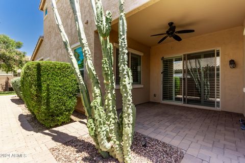 A home in Queen Creek