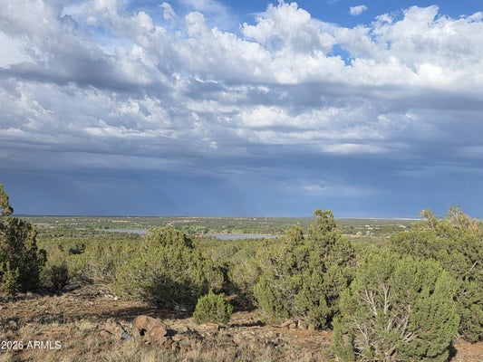 2075 PARKER RANCH RD, SHOW LOW, AZ 85901 - Image 28b281e441dcf8ee925e1d1e44dc70db/2308060653