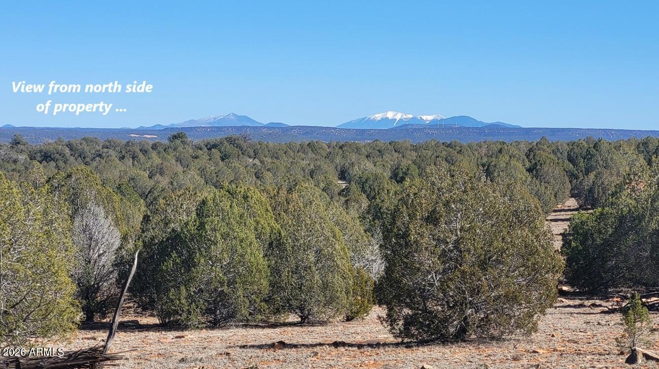 Westwood Ranches - Land