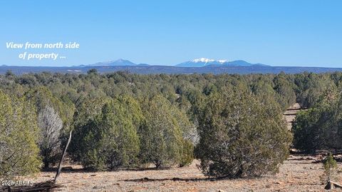 861 E2 Cable Road 861 Williams AZ 86046