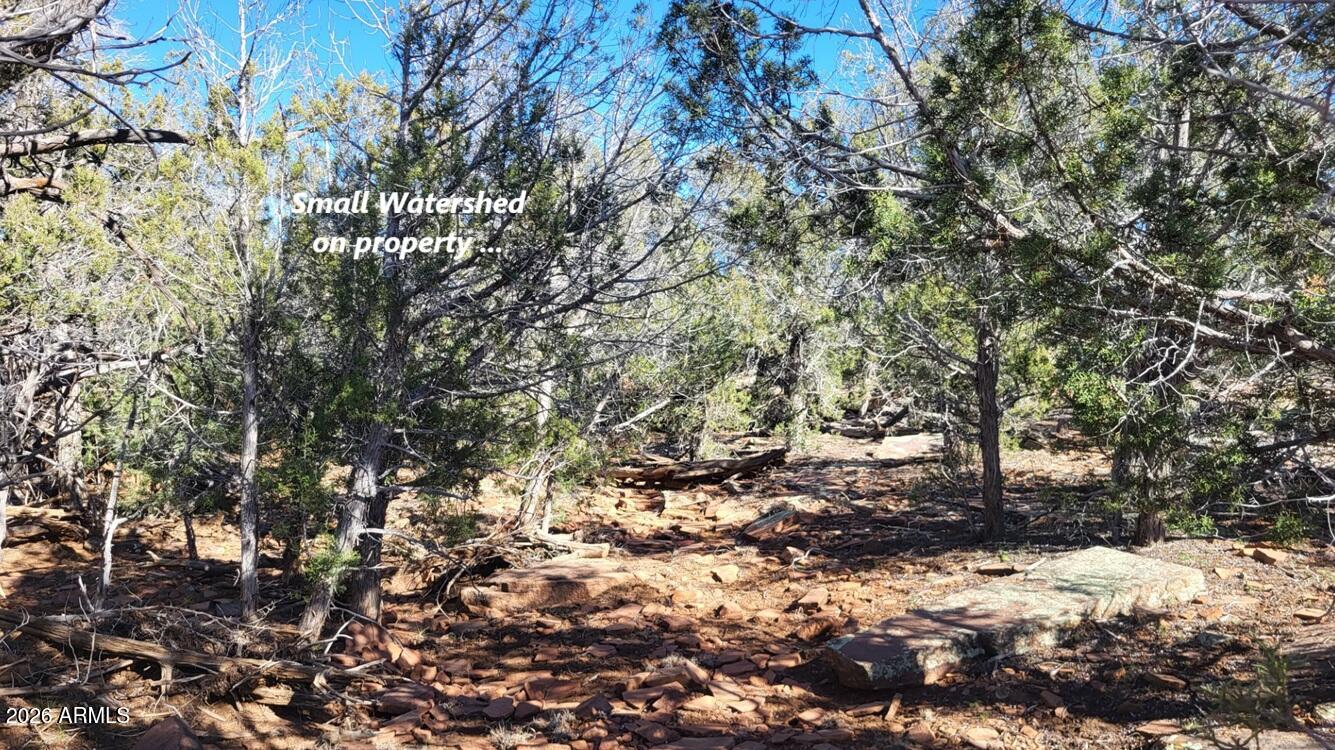 Westwood Ranches - Land