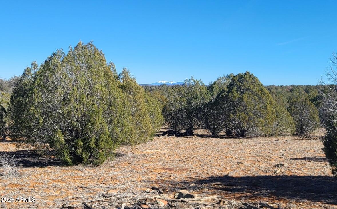 861 E2 Cable Road 861