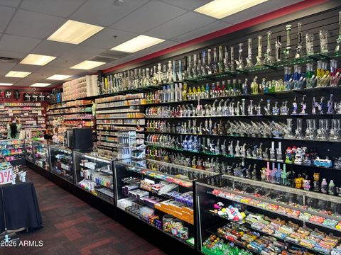 0000 E XXXXXX Avenue Mesa AZ 85215